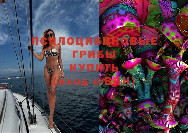 мескалин Гусев