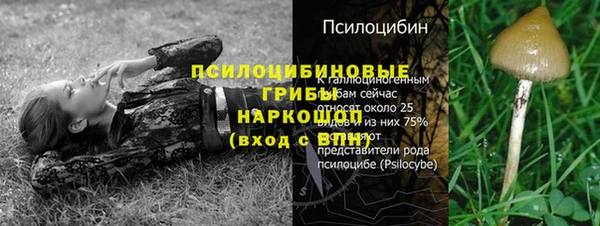 скорость mdpv Гусиноозёрск